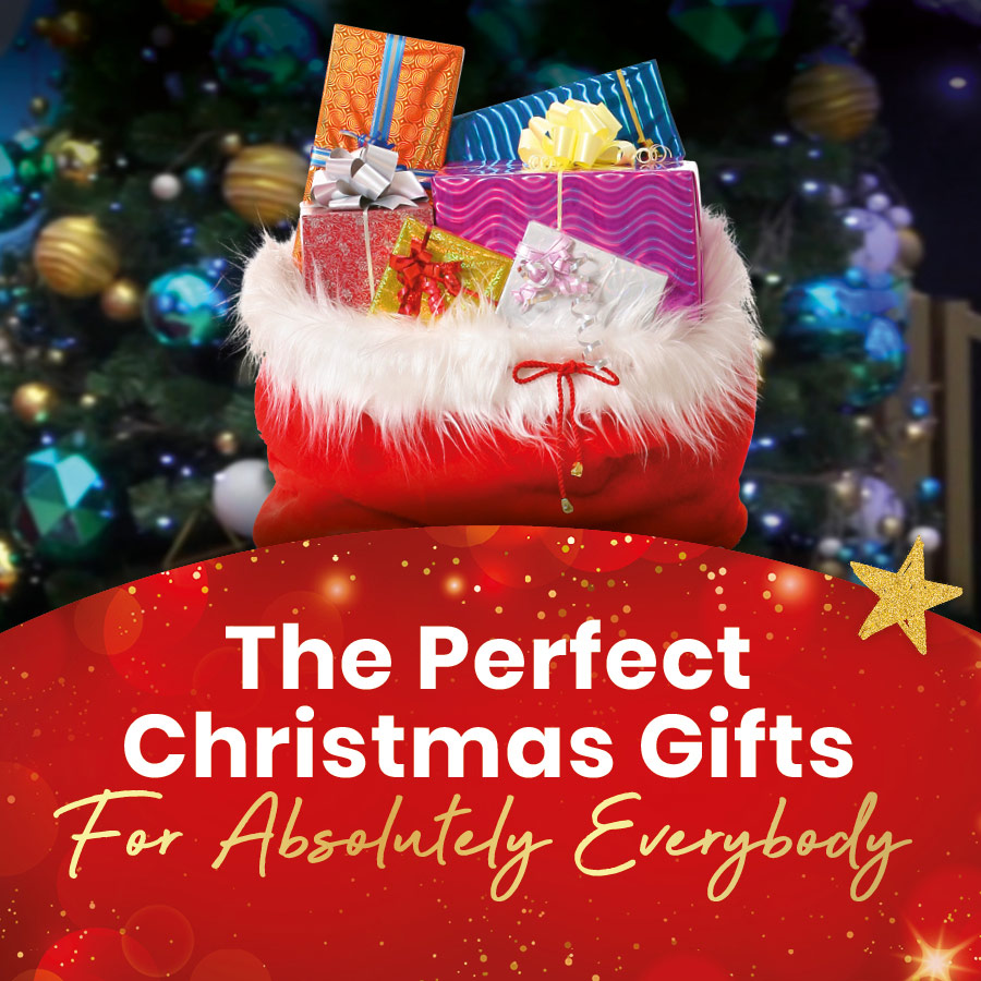 Christmas Gift Guide