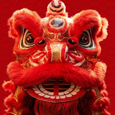 Chung Wah Society Lion Dance at Gateway - Gateway Shopping Centre Darwin