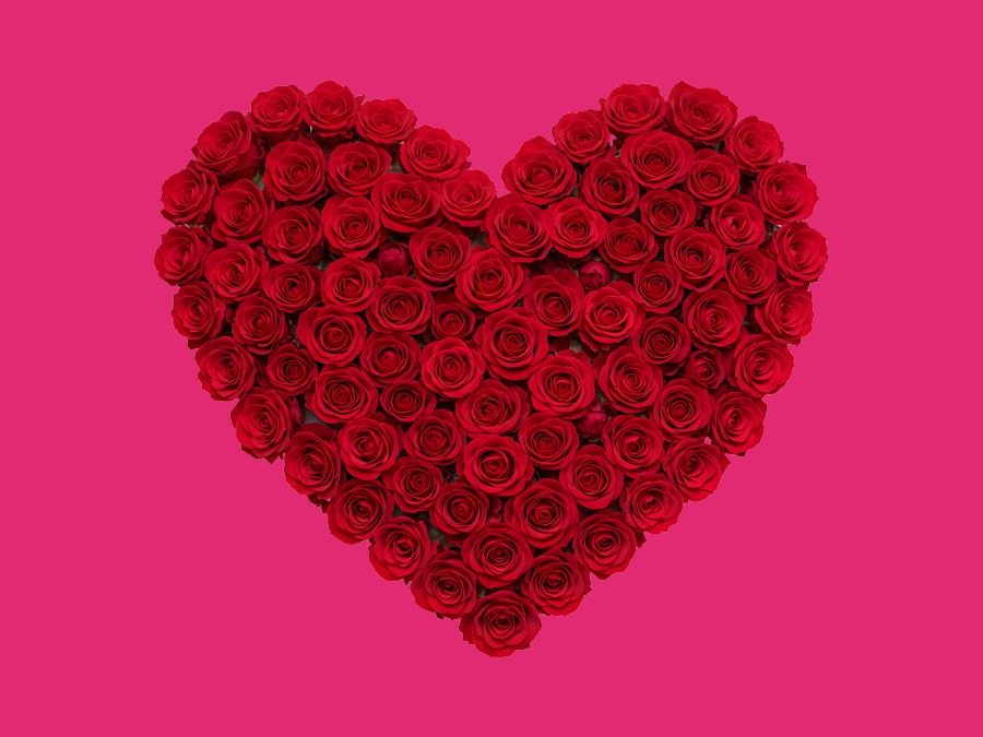 Valentines Day Gift Guide