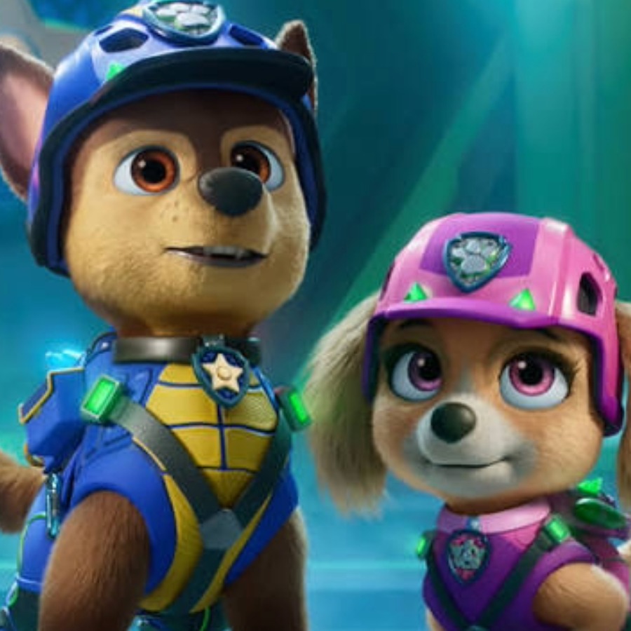 Paw patrol